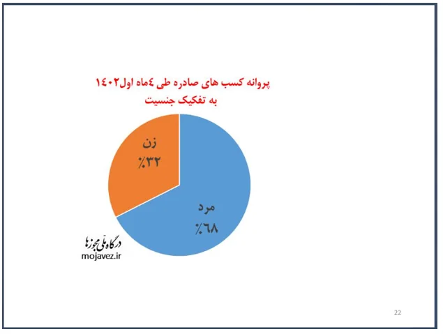صدور ۸۱ هزار پروانه کسب الکترونیکی در چهار ماه/ سهم ۳۲ درصدی زنان در دریافت پروانه کسب