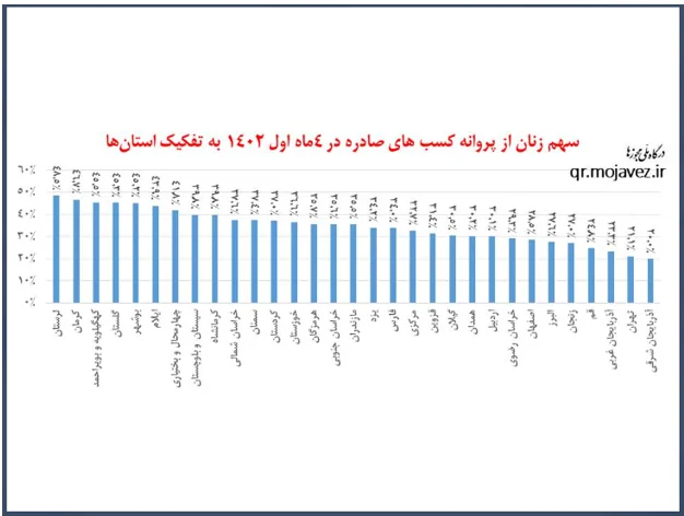 صدور ۸۱ هزار پروانه کسب الکترونیکی در چهار ماه/ سهم ۳۲ درصدی زنان در دریافت پروانه کسب